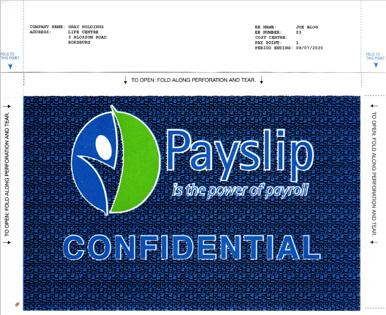 PA04 Pre printed Payslip Stationery